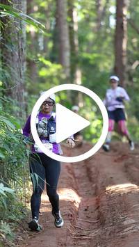 BIB:  <button type="button" onclick="openModal(26569810)" class="btn btn-primary btn-sm float-right" data-toggle="modal" data-target=".modal-high-quality">
                <i class="fa fa-download"></i> Download
                </button>